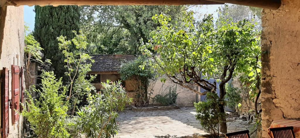 Maison de famille traditionnelle provençale - 4