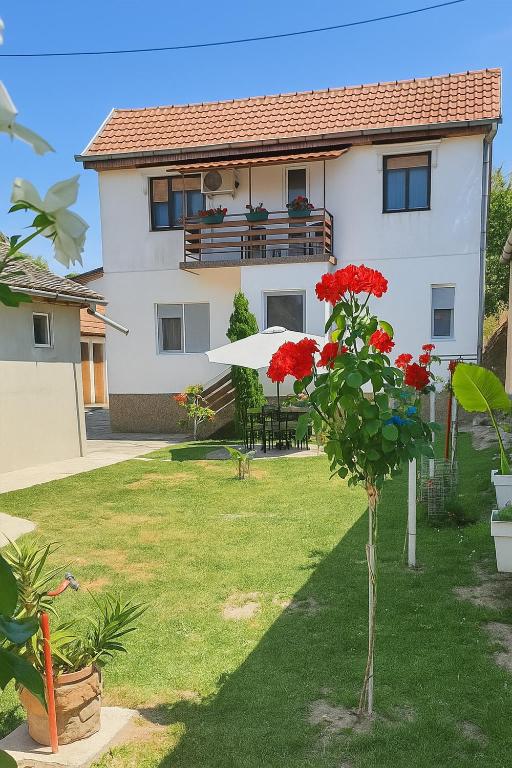 Kuća Amazonija, Apatin