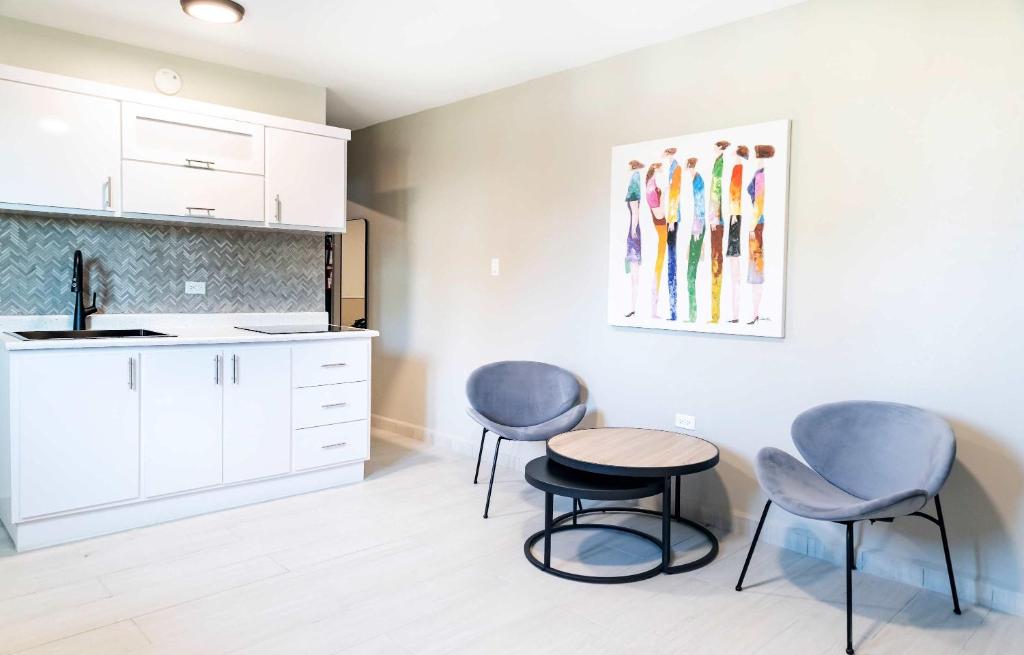 Fully Renovated Beachside with Oceanview 1 Bedroom Unit 8, Dorado