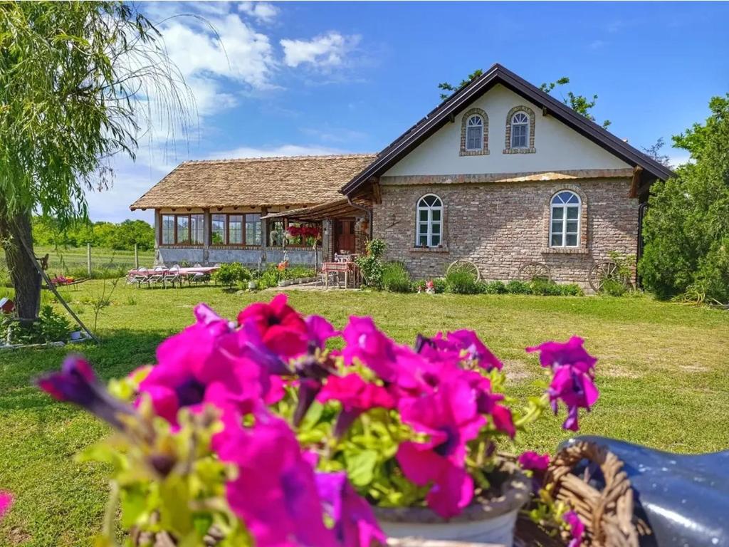 Tetrebov salas in the peaceful fields, Futog