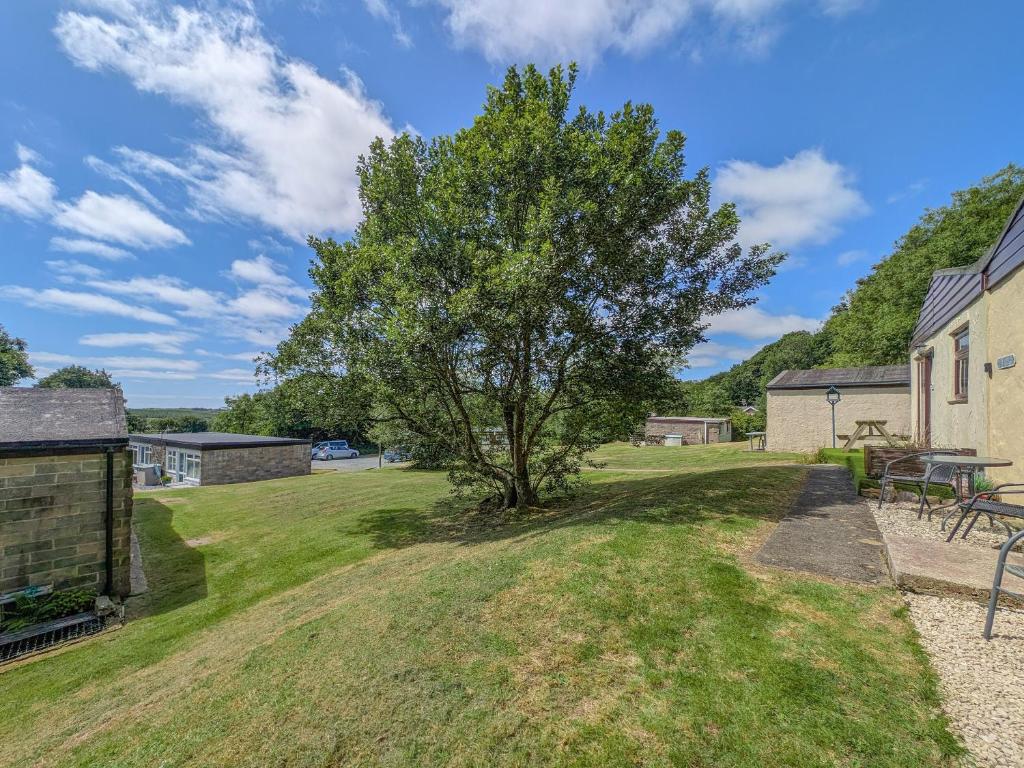 Sandy Cott, Kilkhampton