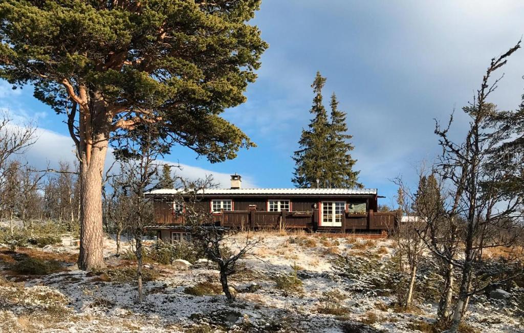 Amazing Home In Tunhovd With Sauna, Tunhovd