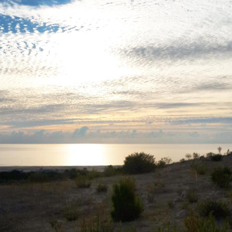 Flower Hotel Patara photo
