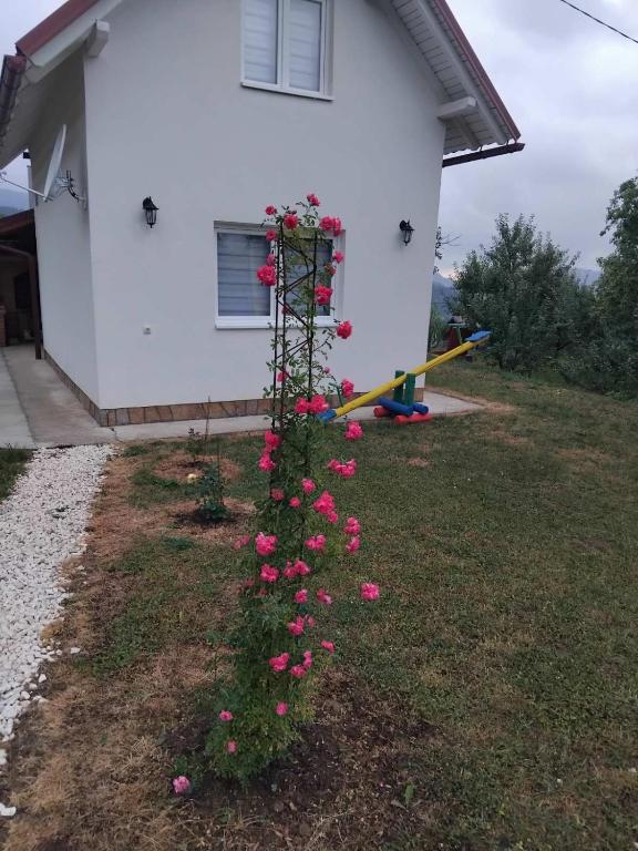 Deda Simina vikendica - 4