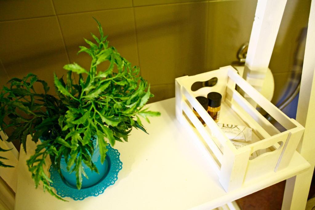 Deodonum Luxury Apartments photo