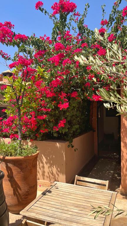 バルコニー/テラス