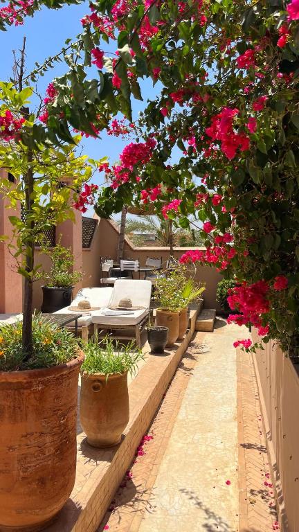 バルコニー/テラス