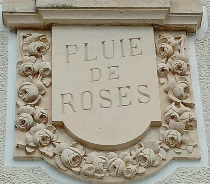 Pluie de roses - 2