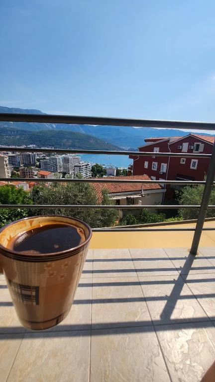 Apartman braco, Budva