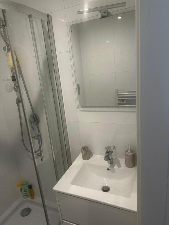 joli studio en face de la gare - 5