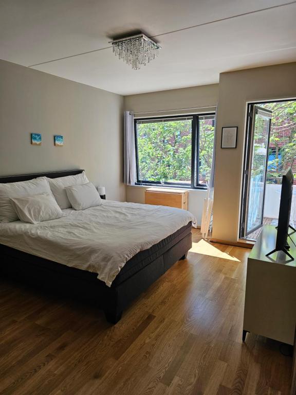 Cozy & Central Studio in the royal heart of Oslo, Oslo