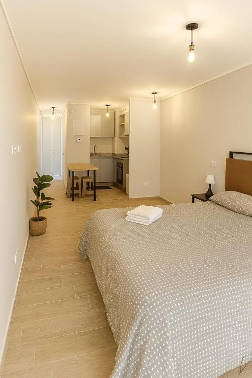 Moderno y Cómodo Departamento en Pleno Centro - 3