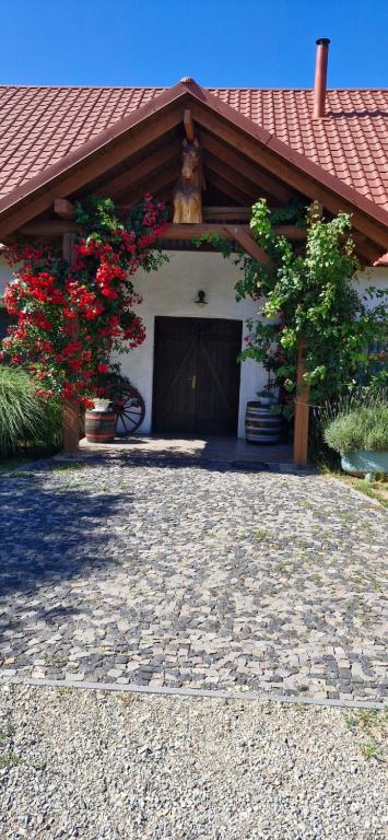 West Troya, Vynohradiv