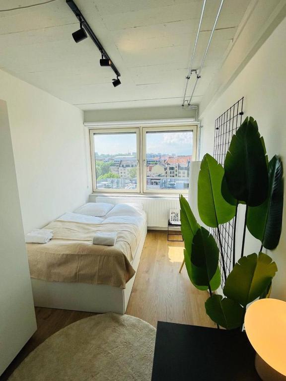 Charming Studio 5, Copenhague