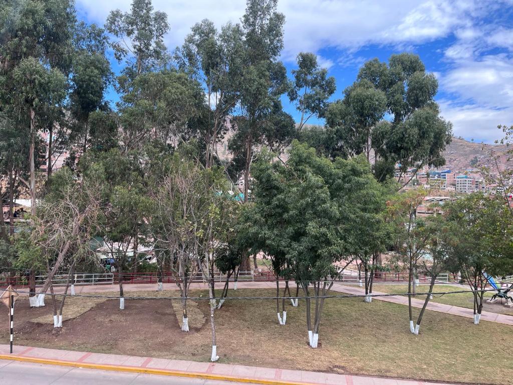 Cozy and new depto in Cusco - 4