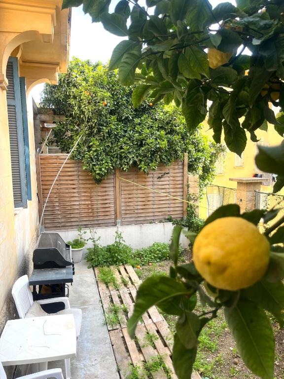 Monaco Border - Cozy 2-Bedroom Apt with Garden - 3