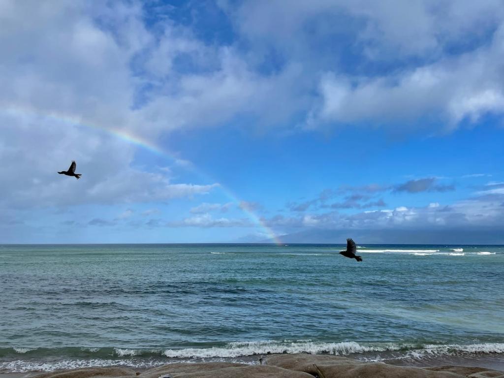 Condos in Valley Isle Resort, Lahaina