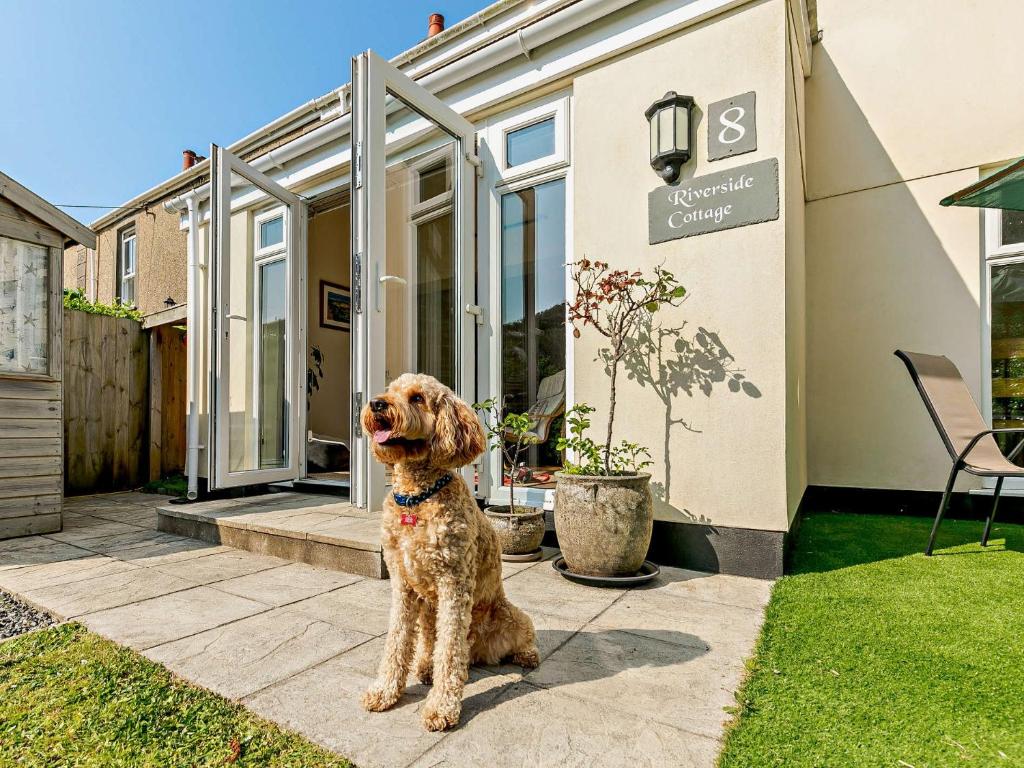 2 Bed in Hayle 92505, Gwinear