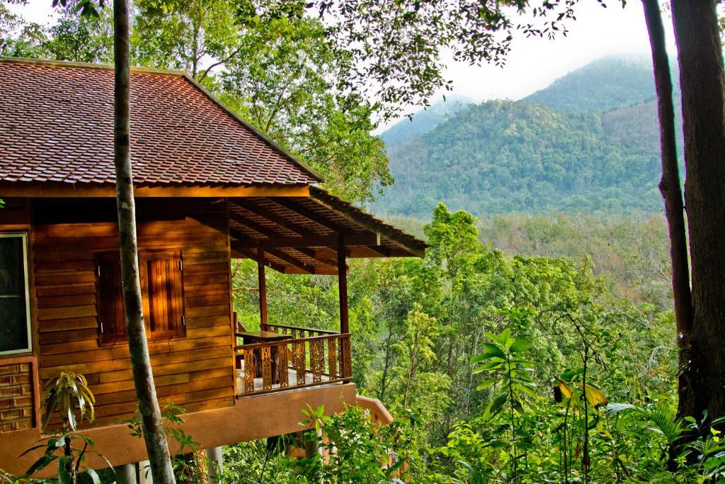 View
