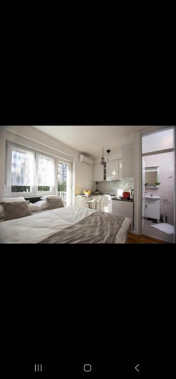 Big Tree Apartment & The Nest Apartment - free Parking - 2