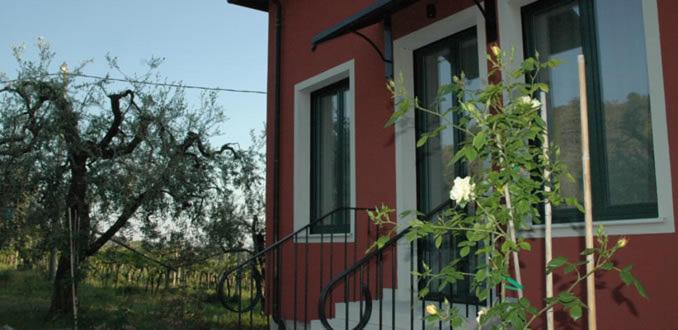 Agriturismo Tenuta la Pergola - 2