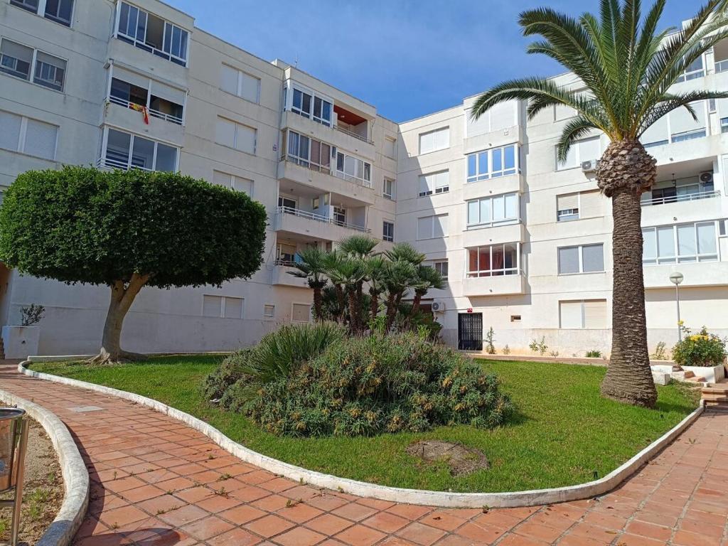 Ocean View Apartment - 2