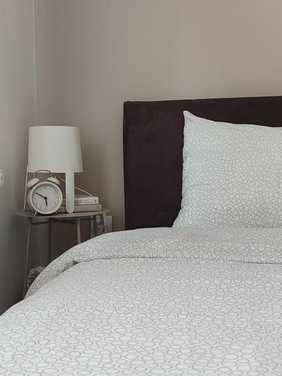 Apartment 11, Zlatibor