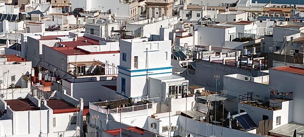 Torre Amanda - 4