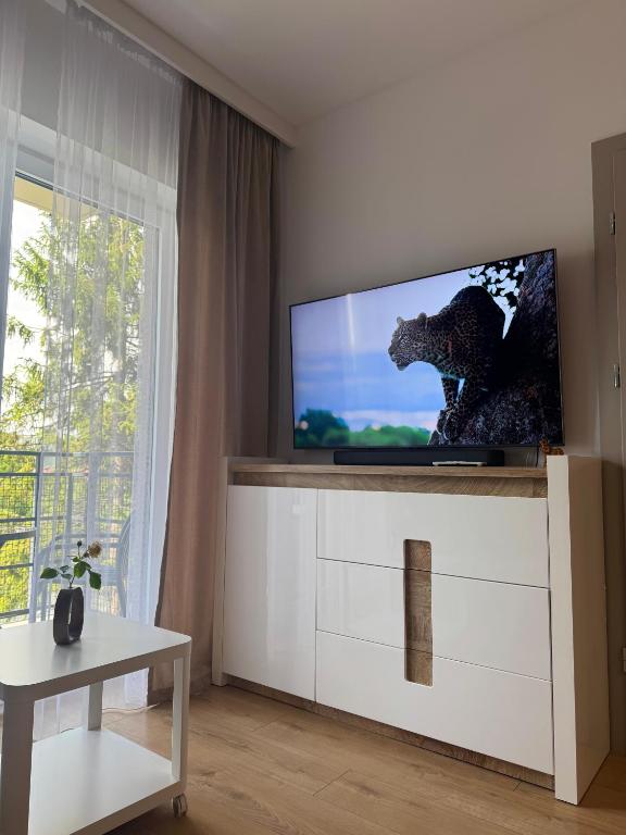 JULIA APART Premium, Přemyšl