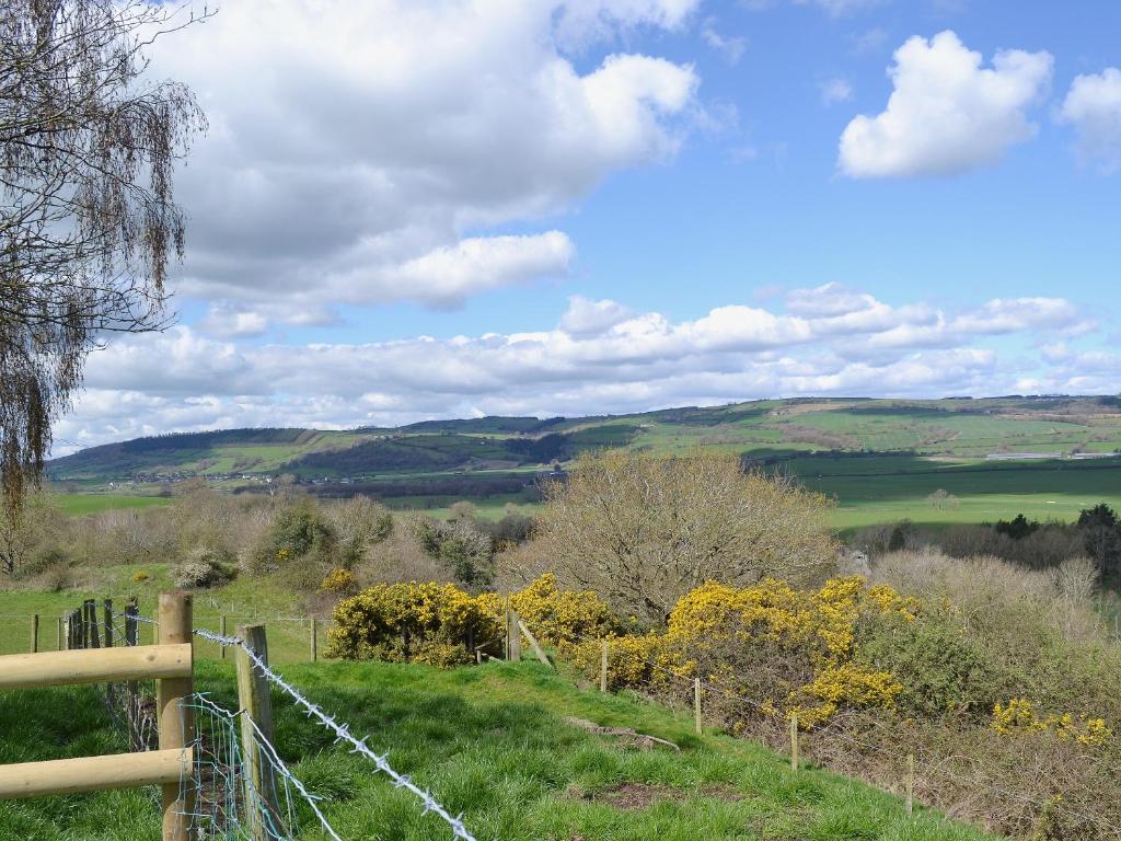 Callow Lodge, Worthen photo 7
