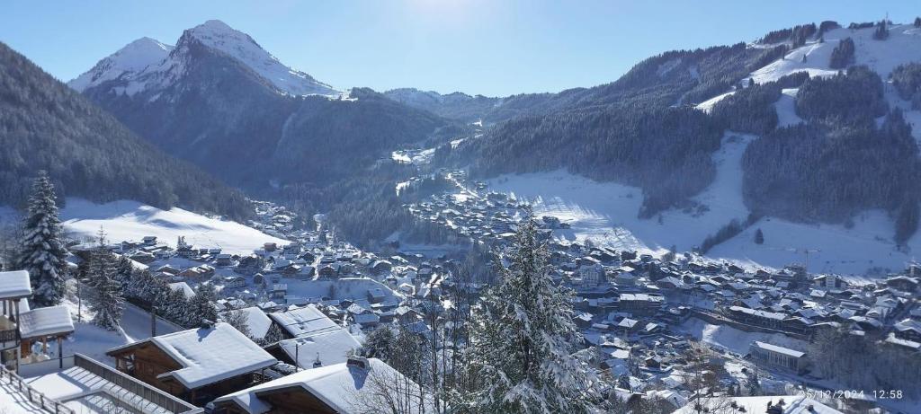 Morzine T2 vue imprenable, Morzine