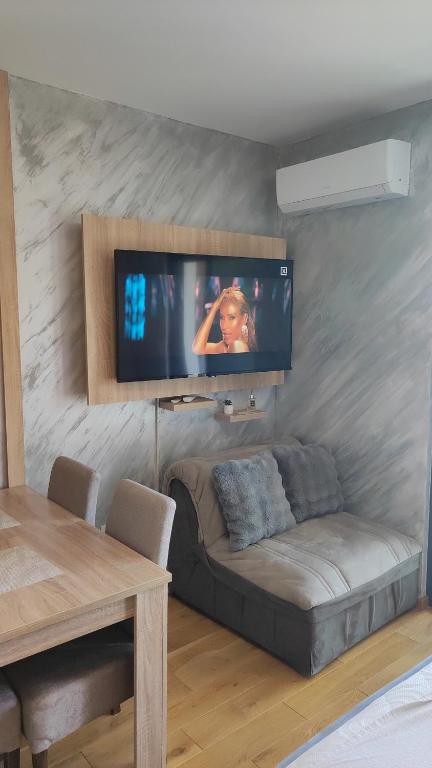 Studio Apartman Valentina Zlatibor - 4