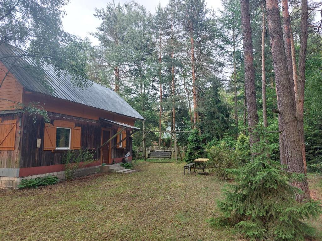 Leśna chatka, Wilga