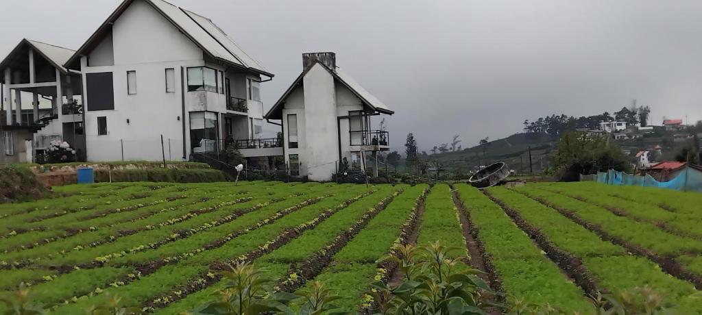 The Essence, Nuwara Eliya