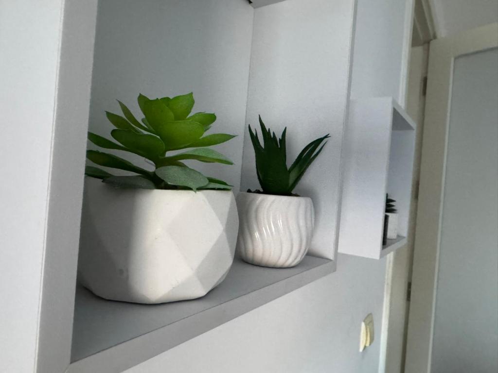Apartment Sheboj 9 - 4