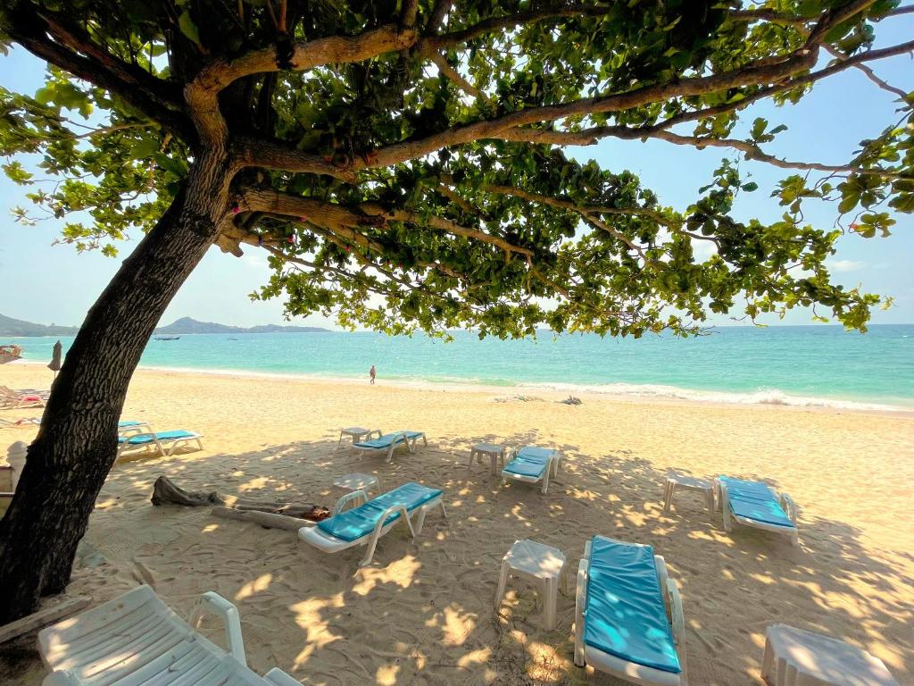 Samui Sense Revive, Lamai