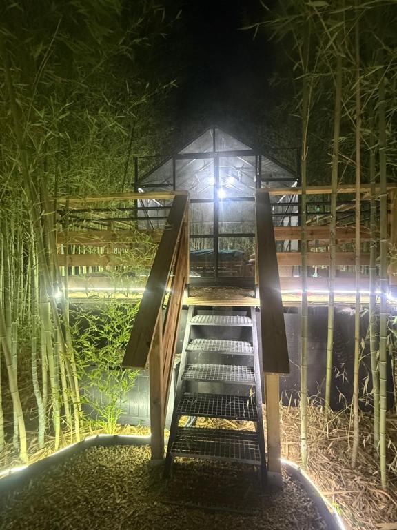 Tanabata logde, Pezens