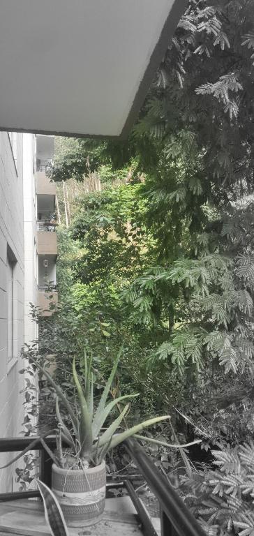 Apartamento céntrico en el poblado - 2