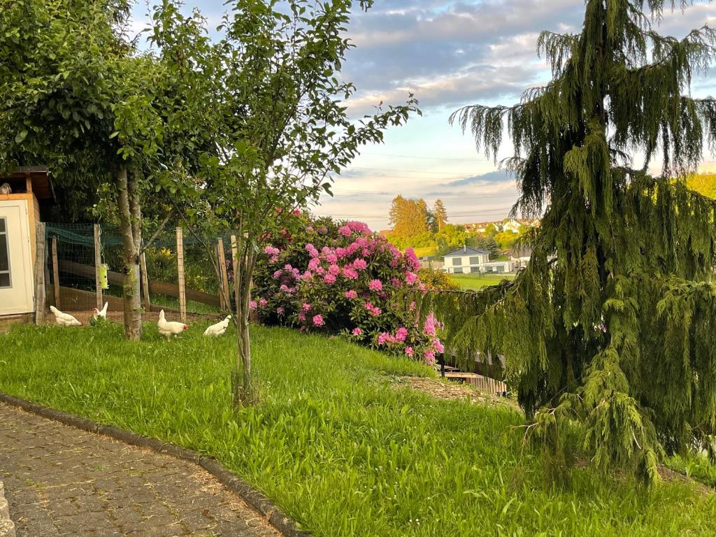 Am Waldrand, Attendorn