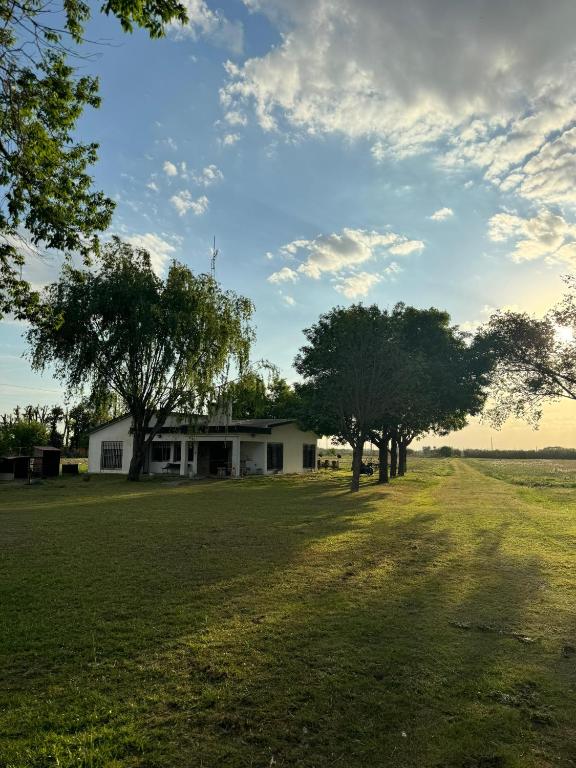 Don Manuel, Rosario
