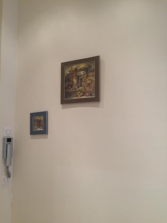 Palme d'hote - 5