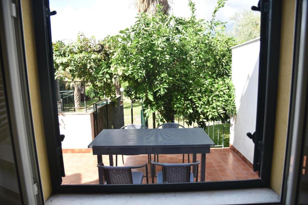 Casa dell'Eucalyptus - 2