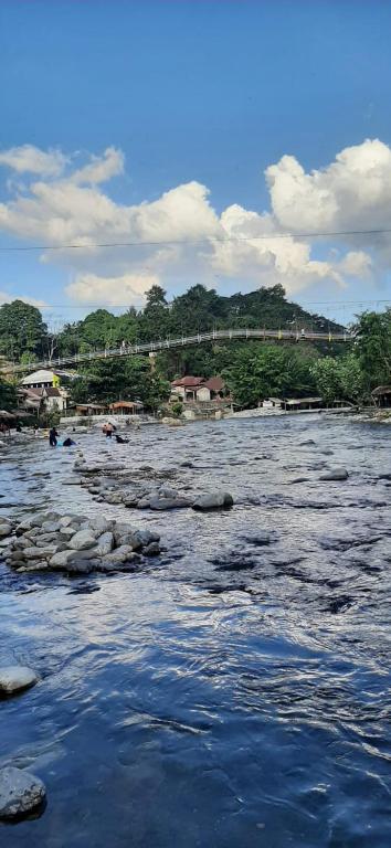Dendi guest house & orang utan explore, Bukit Lawang