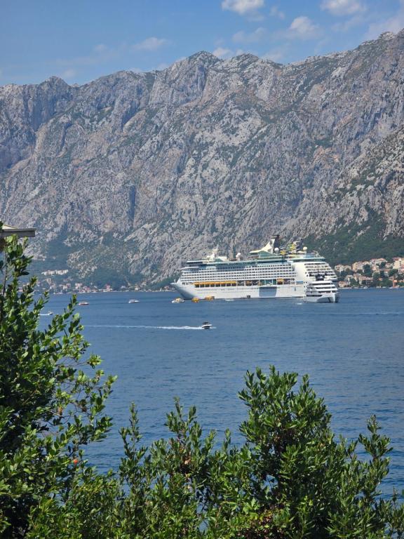 Apartman Jelena, Kotor