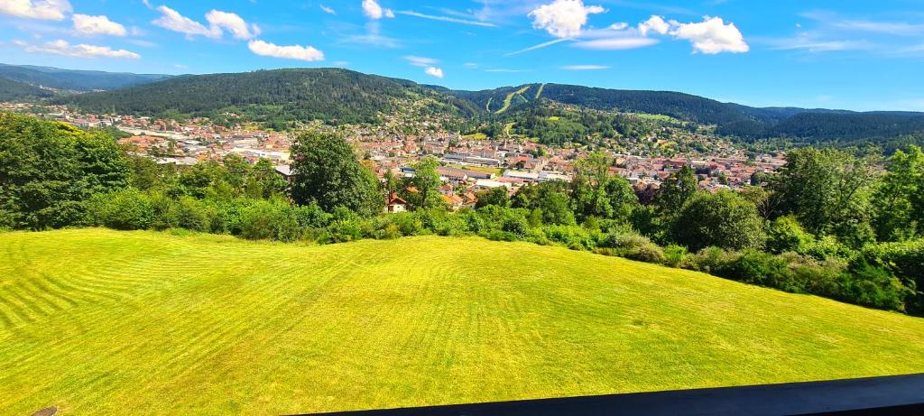 Gérardmer vacances - terrasse - calme - nature - belle vue et garage - 3