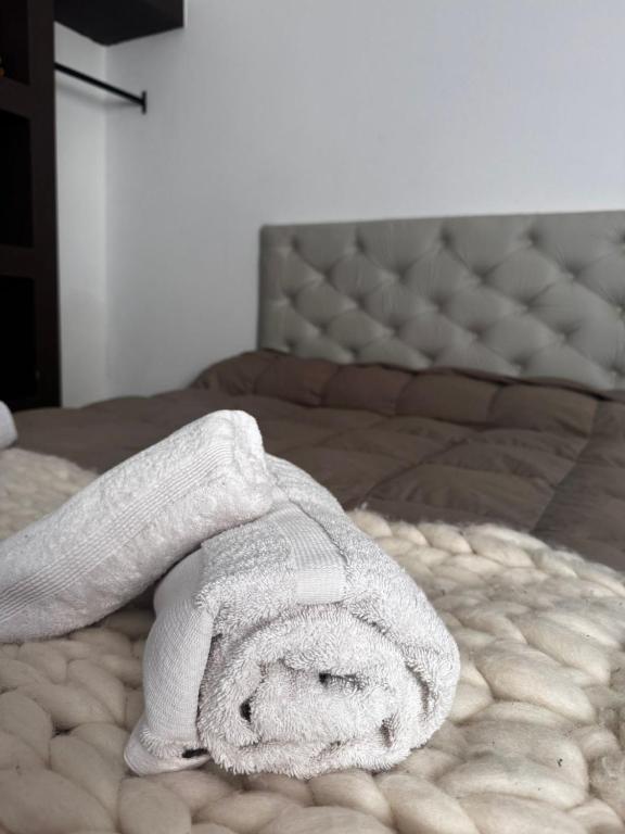 Apart Del Centro - 1