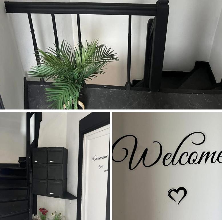 2 pièces cocooning, Le Havre