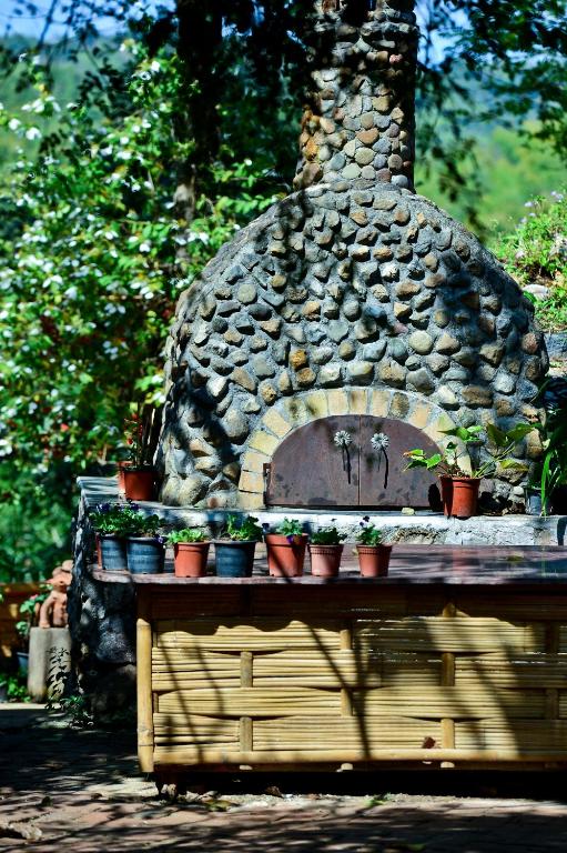 طعام و مشروبات