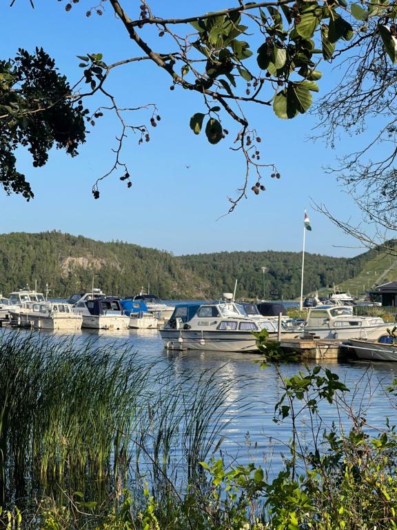 Sunshine apartment, Stockholm