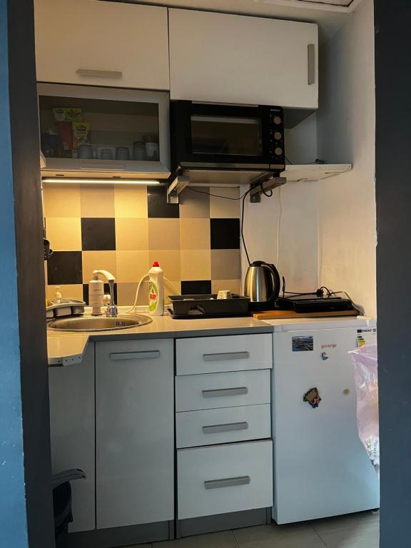 Apartment in Vračar - 3